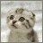 vf.gif